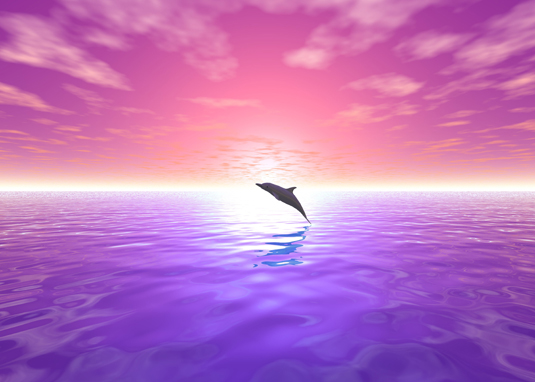 3D Art Design - Dolphin Sky